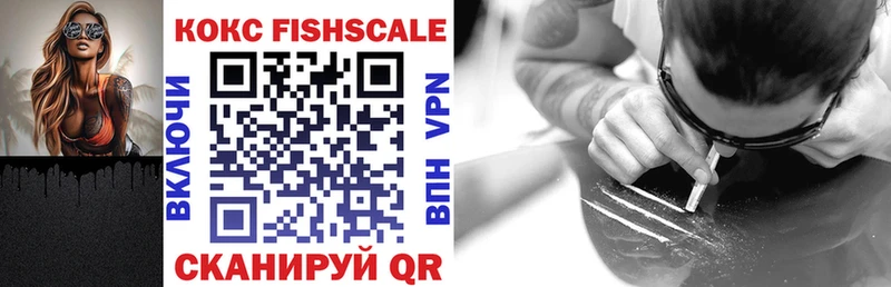 дарнет шоп  Дзержинск  Cocaine FishScale 