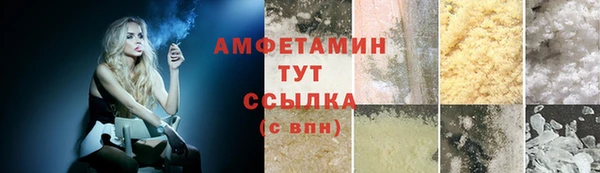 прущие грибы Куйбышев