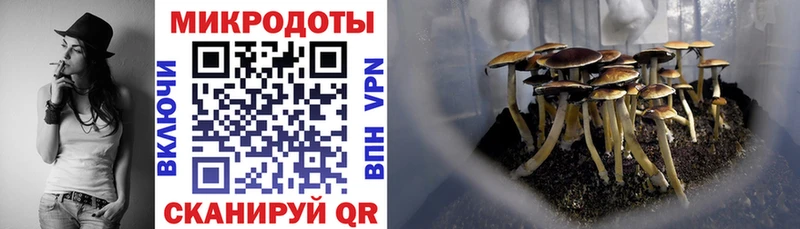 Галлюциногенные грибы Cubensis  наркота  Дзержинск 